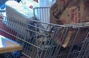 SP Food donation 2