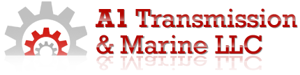 A1